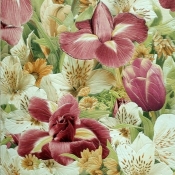 269-07