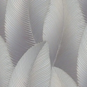 MppI312e_fY