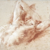 ID136453