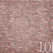 7250